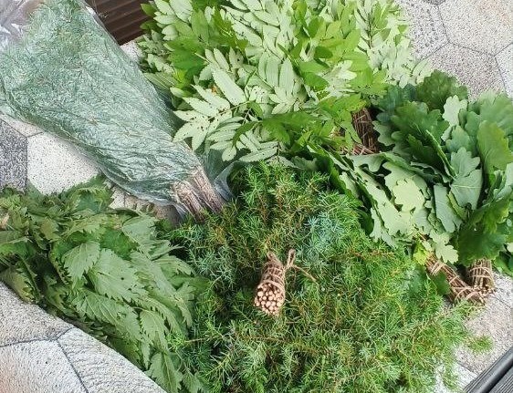 Свежезамороженный берёзовый веник